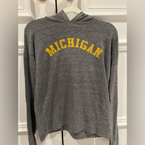 michigan gray hoodie - Picture 1 of 3